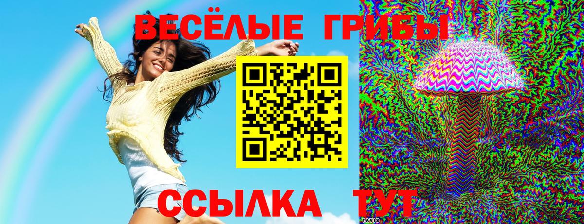 Галлюциногенные грибы GOLDEN TEACHER Чита